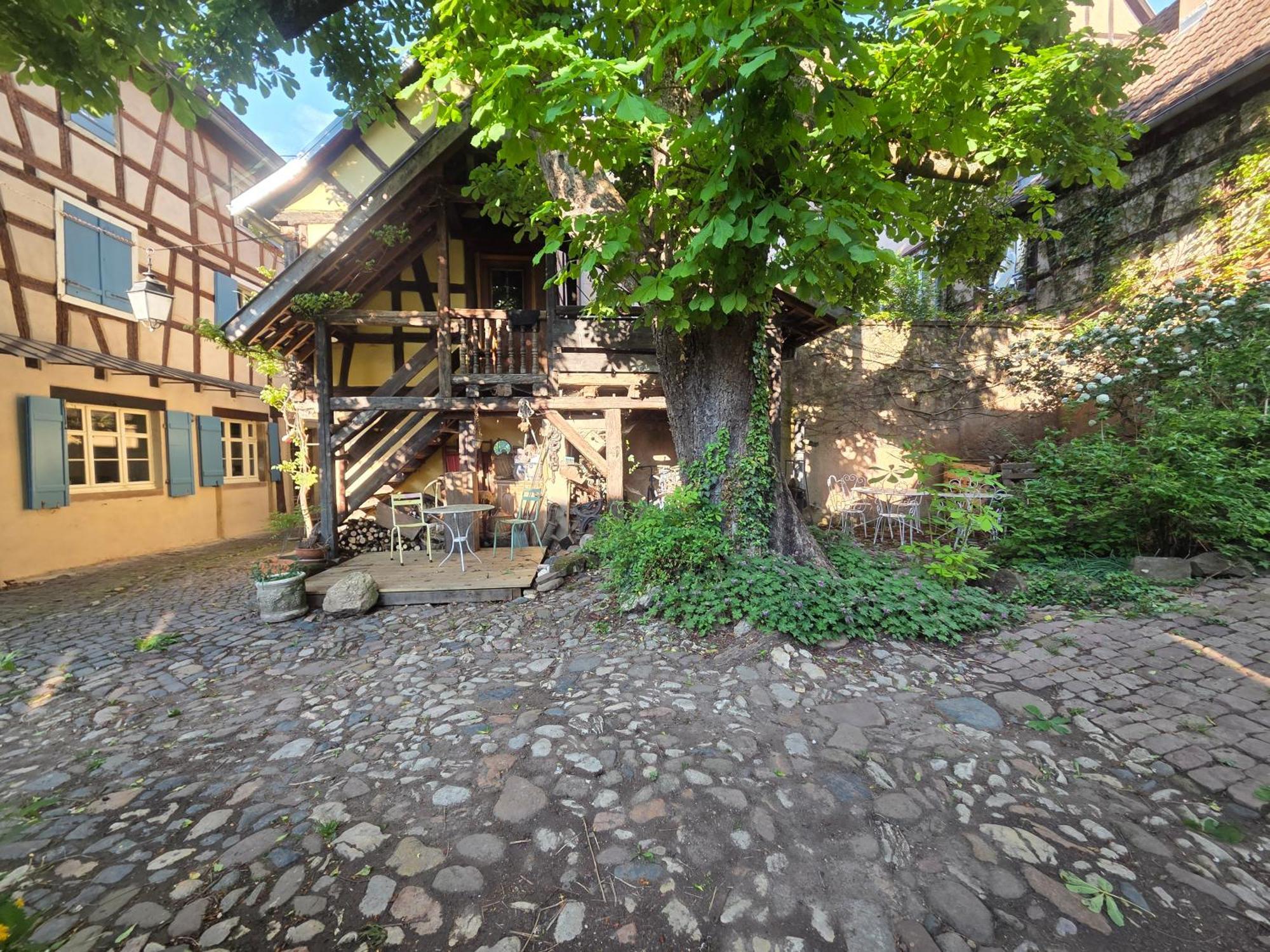 Le Temps Des Cigognes Villa Barr Exterior photo