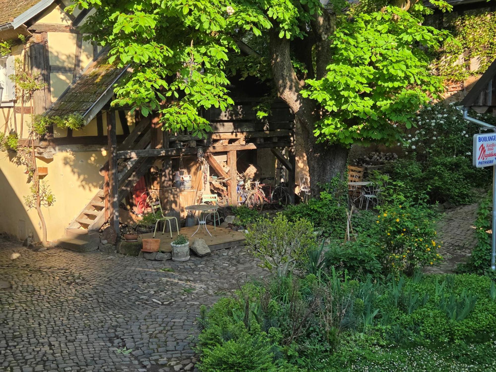 Le Temps Des Cigognes Villa Barr Exterior photo